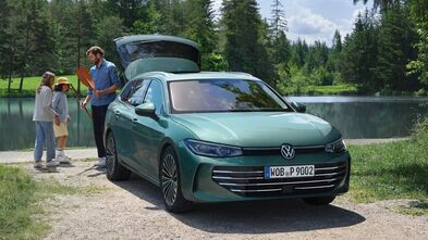 grüner VW Passat am See mit Menschen und offenem Kofferraum